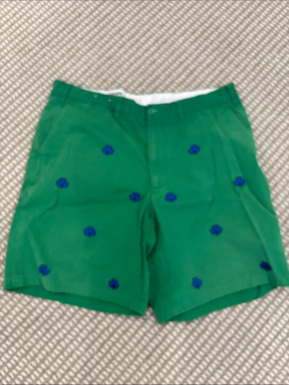 Castaway Green Shorts with Blue Embroidery